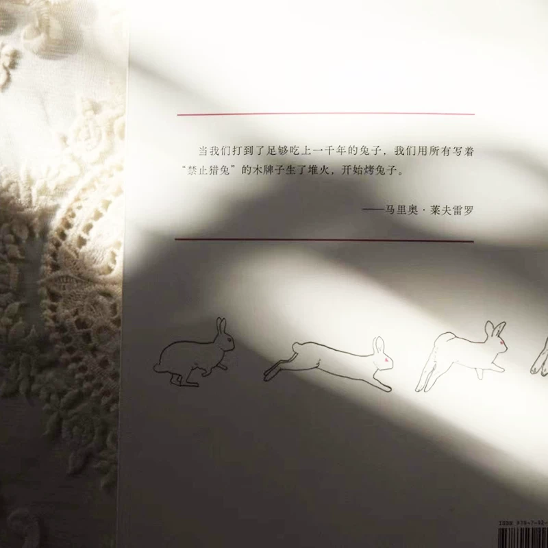 Рabbit Hunting, написанная Марио Левреро, иллюстрированная Соней Пулидо, сказка для взрослых, увлекательная игра, эпическая басня о человеке и зайце, смешное и трагическое, подлинный зарубежный роман