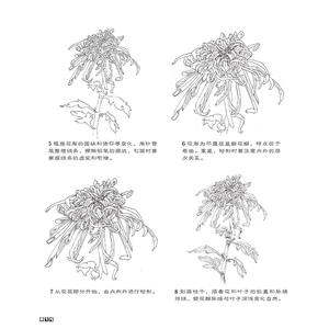繁花绘/超精致的黑白手绘基础教程 黎莉等 正版书籍 新华书店旗舰店文轩官网 电子工业出版社