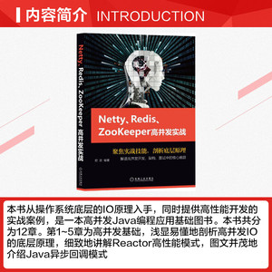 Netty、Redis、Zookeeper高并发实战 尼恩 正版书籍 新华书店旗舰店文轩官网 机械工业出版社