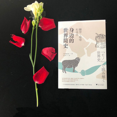Африканские истории 身边的世界简史 腰带、咖啡和绵羊 (日)宫崎正胜 浙江大学出版社