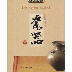 四川大学博物馆藏品集萃 瓷器卷 王波 正版书籍 新华书店旗舰店文轩官网 四川大学出版社