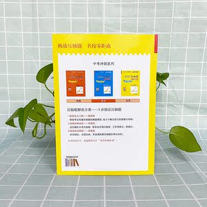 中考数学(强化训练篇2021版)/挑战压轴题 马学斌 初一初二初三中考升学培优冲刺真题模拟压轴题教辅练习册 中考数学总复习压轴题