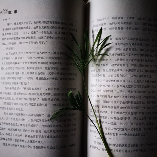 Книга шестого класса в детства Горки будет читать дополнительную книгу «Начальная школа», «Счастливое чтение».