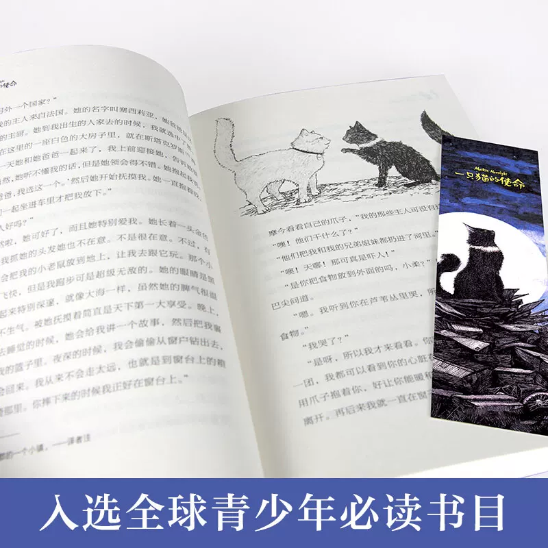 Stories book, reading for students, 7-9-10-12-14 years, training, reading material