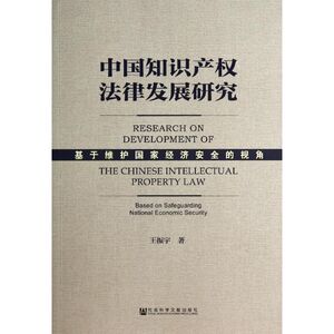中国知识产权法律发展研究 王振宇 社会科学文献出版社 正版书籍 新华书店旗舰店文轩官网
