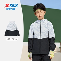 Опухоль к норме серого [тонкое пальто]