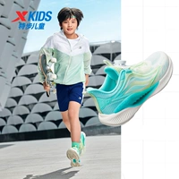 [Поместите «водород» сосну] Jelly Green/Aurora Green-Catfish версия