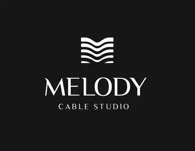 Melody stay big headphone cable repair change head change head custom adapter cable to record cable