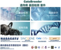 Purebred cat Genetic testing Pet cat Genetic disease Cat house Registered Breeder Kit Ragdoll Breeder
