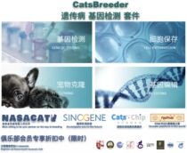 Purebred cat Genetic testing Pet cat genetic disease Cat house Registered Breeder Kit Ragdoll Breeder