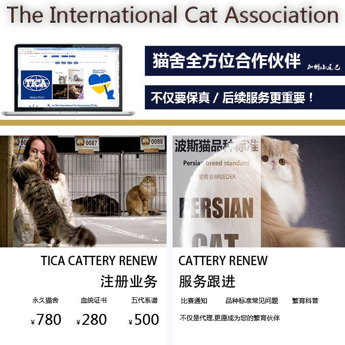 [USD 33.39] Registration TICA Certificate of Origin TICA Cat House Cat