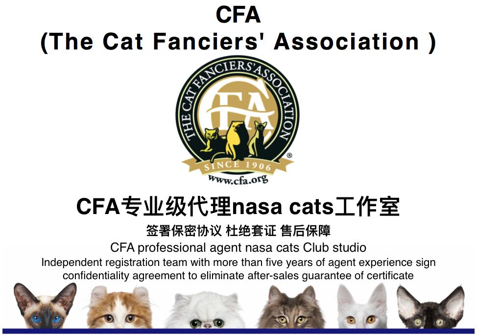 Register for CFA Ancestry Certificate CFA Green Paper Cat License CCFA Cat House
