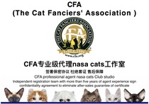 Registration CFA Pedigree Certificate CFA Green Paper Cat Certificate CFA Cat House