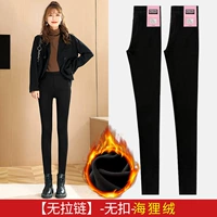 Нет пряжки [Борвель бархат]