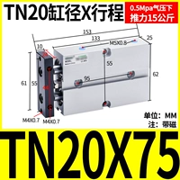 Двухосевой цилиндр TN20X75-S