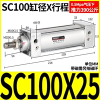 Стандартный цилиндр SC100*25