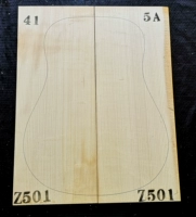 Модель когтя немецкая, сорт 5А, ель № Z501.