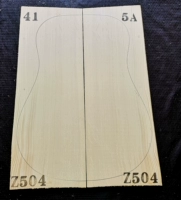 Модель когтя немецкая, сорт 5А, ель № Z504.