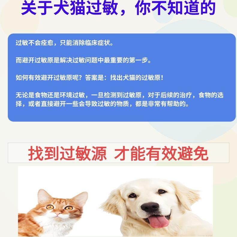 养宠物过敏怎么办？了解2026宠物过敏源检测全攻略