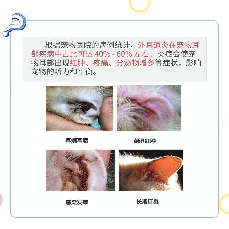 宠物耳道健康检测PCR:猫狗耳螨、真菌感染、耳炎的全面守护者!-特色医疗用品-淘宝百科网