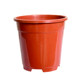 Clivia flower pot plastic succulent small flower pot gallon pot breathable household seedlings Jiali large straight high flower pot