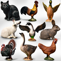 Animal toy simulation poultry Children cognitive farm model cat Duck goose chicken Rabbit Persian cat doll Pet cub