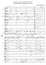 THEME FROMSCHINDLERS LIST (original tone F) total score-6 pages-sj