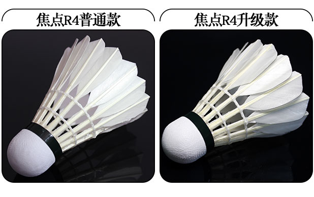 Tập trung cầu lông R-4 / R4 đề kháng cho trò chơi huấn luyện ổn định chuyến bay của vua với quả bóng không tệ 12 gói kiêu ngạo vợt cầu lông yonex