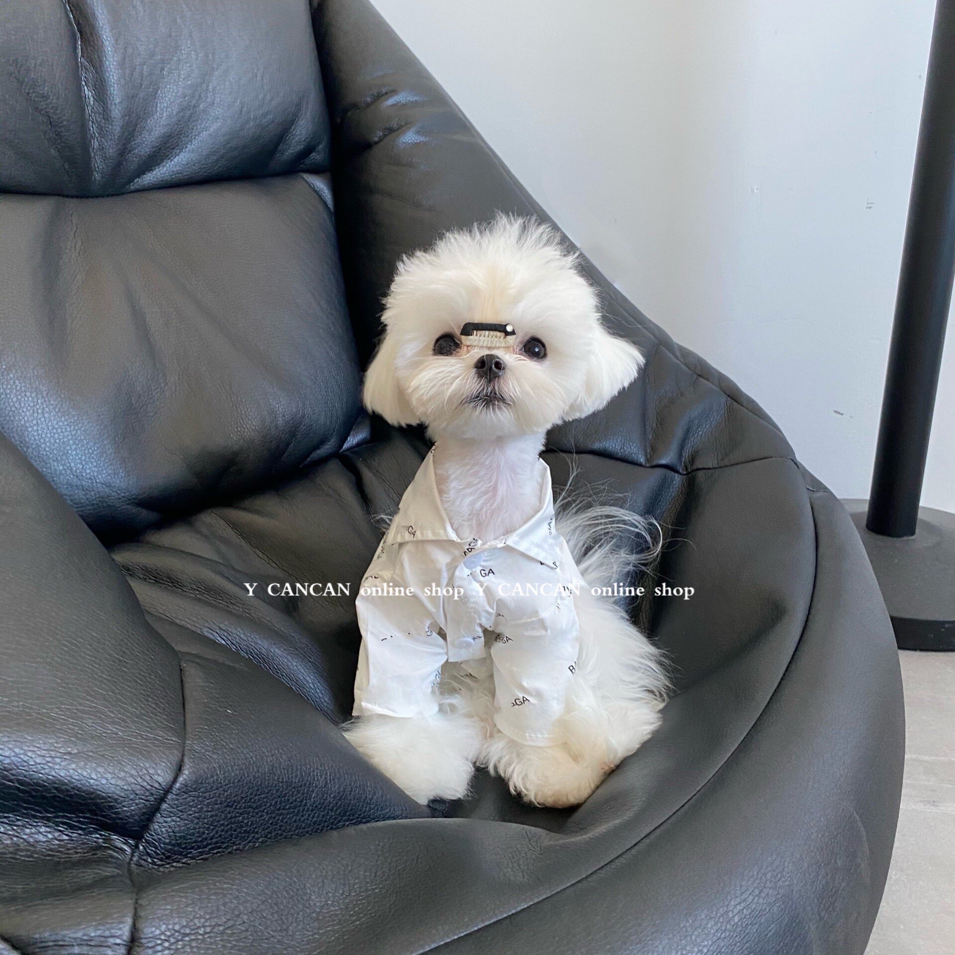YCANCAN 秋季新款ins风宠物衣服网红猫狗潮牌衬衫马尔济斯比熊