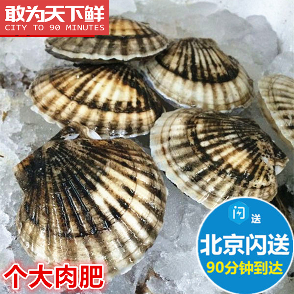 5 scallops, 2 taels each, Beijing flash delivery, fresh seafood, fresh Dalian Zhangzidao scallops, aquatic products