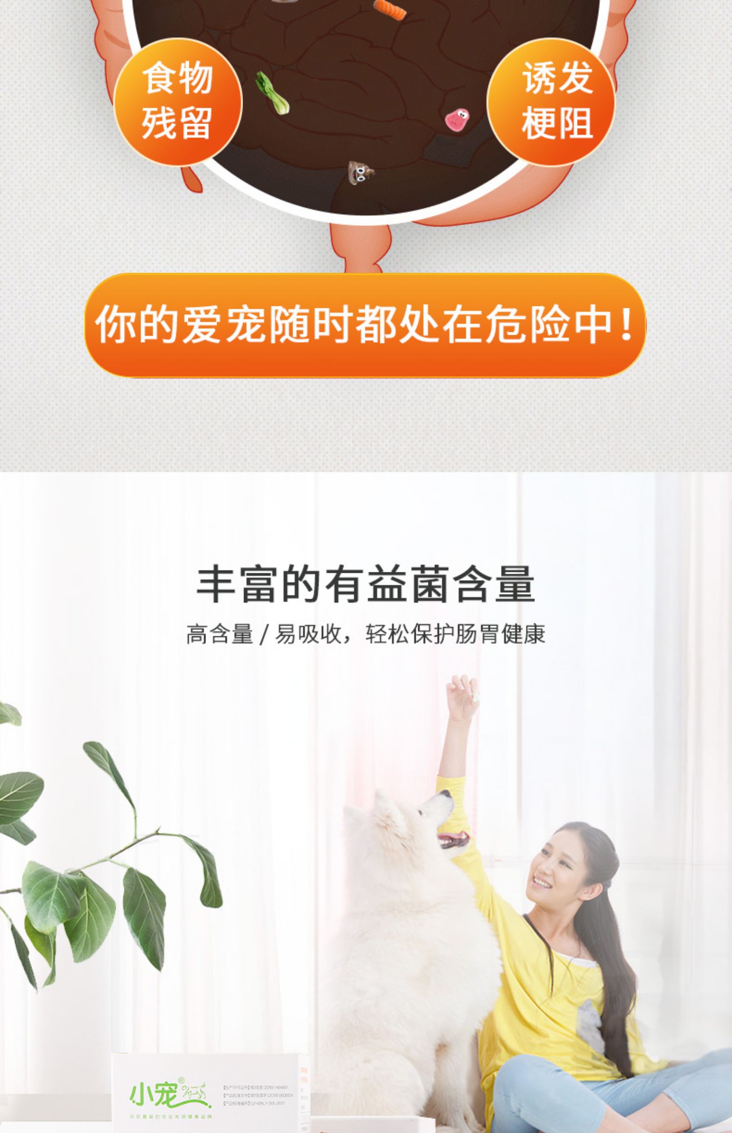 Thú cưng nhỏ, dạ dày, mèo, men vi sinh, chó, điều hòa, dạ dày, tiêu hóa, nôn mửa, mèo cưng, chó con đặc biệt - Cat / Dog Health bổ sung 	sữa cho mèo con sơ sinh