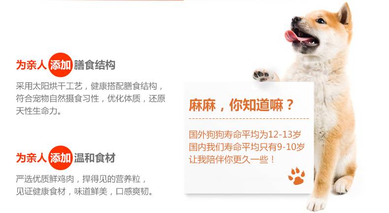 Pet Dog Snacks Nhẫn gà ngon 800g Huấn luyện Thịt khô / Thịt Thịt Teddy Bear Dog Snacks hạt chó