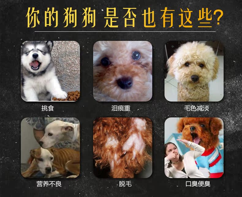 Baolu chó ăn thức ăn cho chó hơn gấu Jinmao Samoyed Labrador Teddy Bomei chó nhỏ 1,3kg loại phổ - Chó Staples thức ăn khô cho chó