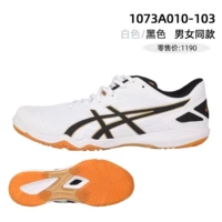 1073A010-103_White и Black Model 25 Новая модель