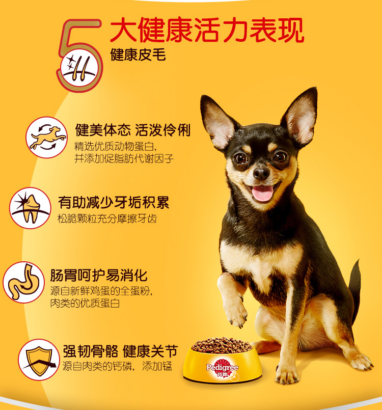 [Sản phẩm mới] Baolu Dog Food Dog Thức ăn chính Chó nhỏ Chó trưởng thành Thức ăn khô Thức ăn bò Hương vị 4kg thuc an cho chó