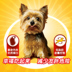 Polo Dog Snacks Đào tạo đồ ăn vặt Thịt sọc Teddy Bear Golden Retriever Phần thưởng đào tạo chung Ăn vặt 80g - Đồ ăn vặt cho chó thức ăn cho chó mẹ sau sinh Đồ ăn vặt cho chó