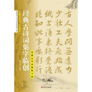 王羲之行书圣教序 施志伟 编 艺术 毛笔书法 书法/篆刻/字帖书籍 上海科学技术文献出版社