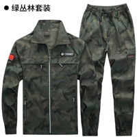 303 Green Forest (летняя сетка эластичная быстросохнущая)