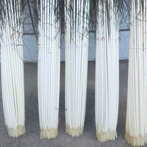 Павлин -перо стержень павлин павливый стержень 6 мм около 6 мм павлина дрейфующего дрифтируемого дрифтового материала DIY плавающий дрифт материал