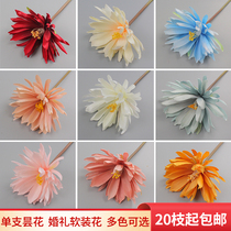 Wedding Simulation Epiphyllum Long Pole Antique Photo Props Bianhua Long Pole Flower Material Silk Flower Wedding Hall Home Decoration