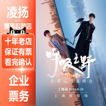 2024 Xu Song Shanghai Concert Ticket Proxy Xu Songs Breathing Wild Tour Concert Shanghai Station Real-name Proxy Photography