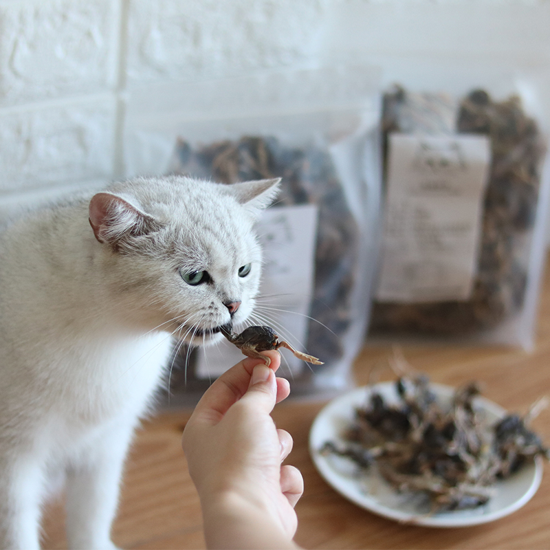 530g mèo, vỗ béo, thịt đông lạnh, mèo, snack, thịt bò, thịt gà, vịt, mèo, chó, bổ sung, dinh dưỡng, thức ăn cho mèo thức ăn mèo catsrang