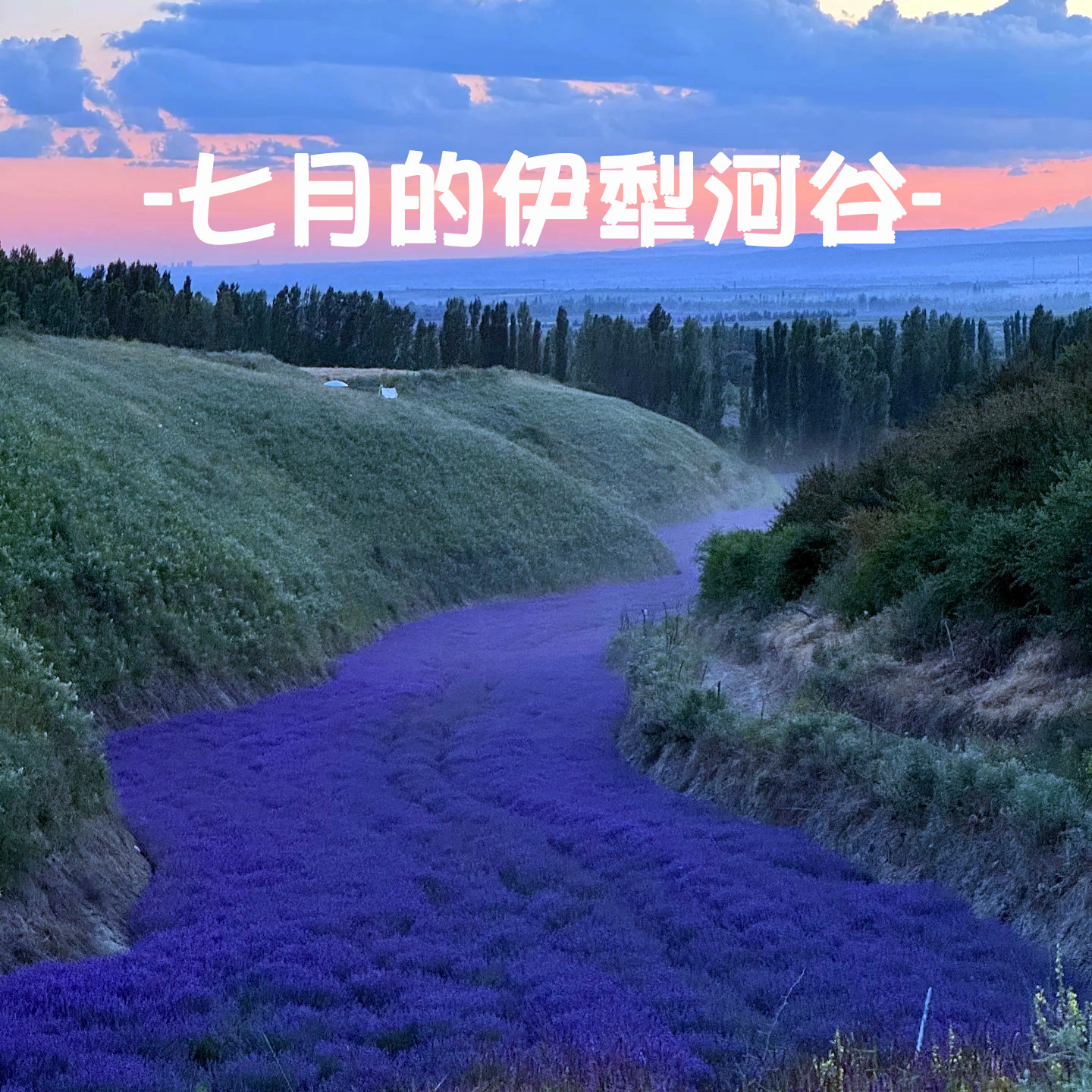 清心农场丫的LOGO