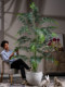 High-End Artificial Green Plant, Cycad Palm Floor-Standing Potted Plant, Landscaping Decoration, Artificial Plant, Living Room Ornamental Plant, Fake Tree