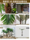 Simulated Coconut Tree Indoor Green Plant Decorative Potted Large Shopping Mall Artificial Tropical Plant Floor-Standing Artificial Tree Palm Sunflower