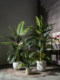 High-End Artificial Areca Palm Indoor Atmosphere Plant Potted Landscaping Fake Tree Tropical Bionic Flower Green Plant Ornament Decoration