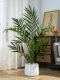 High-End Artificial Green Plant Potted Plant, Sunflower, Indoor Living Room Floor-Standing Home Large Ornament, Simulated Plant Landscaping