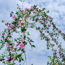 Simulated rose fake vine vine wall to block wedding arch staircase armrest wrapped around background decoration