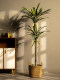 Trendy Artificial Agave Tree Fake Plant Potted Indoor Living Room Landscape Floor Decoration Green Plant Ornament Bonsai