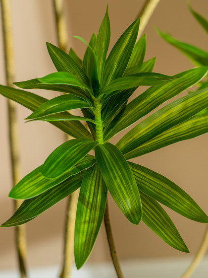 Lily Bamboo Artificial Indoor Large Plant Living Room Fake Tree Floor-Standing Potted Plant Bionic Green Plant Decoration Landscaping Ornament